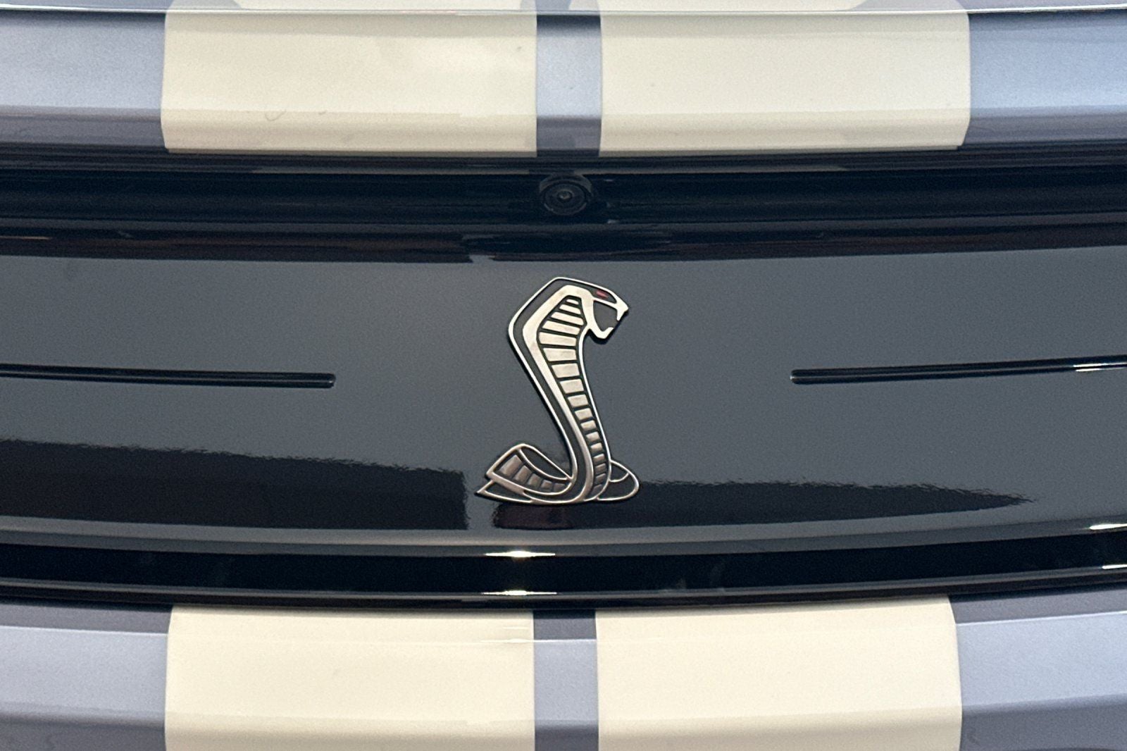 2022 Ford Mustang Shelby GT500