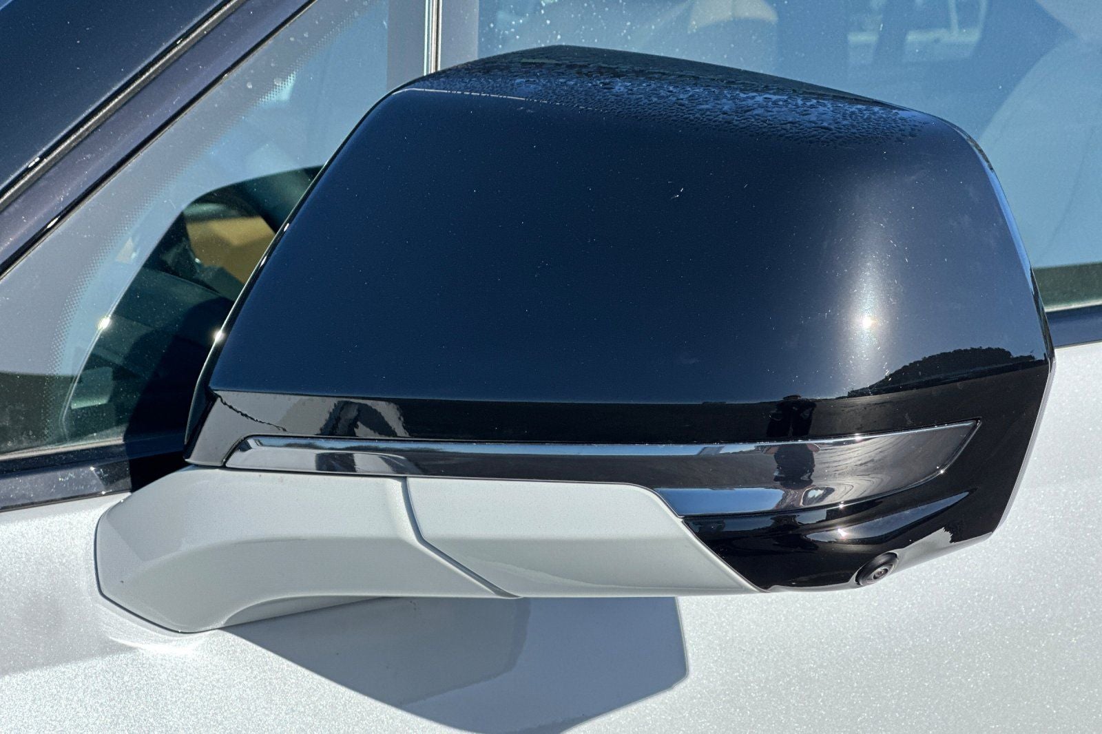 2026 Cadillac ESCALADE IQL Premium Sport