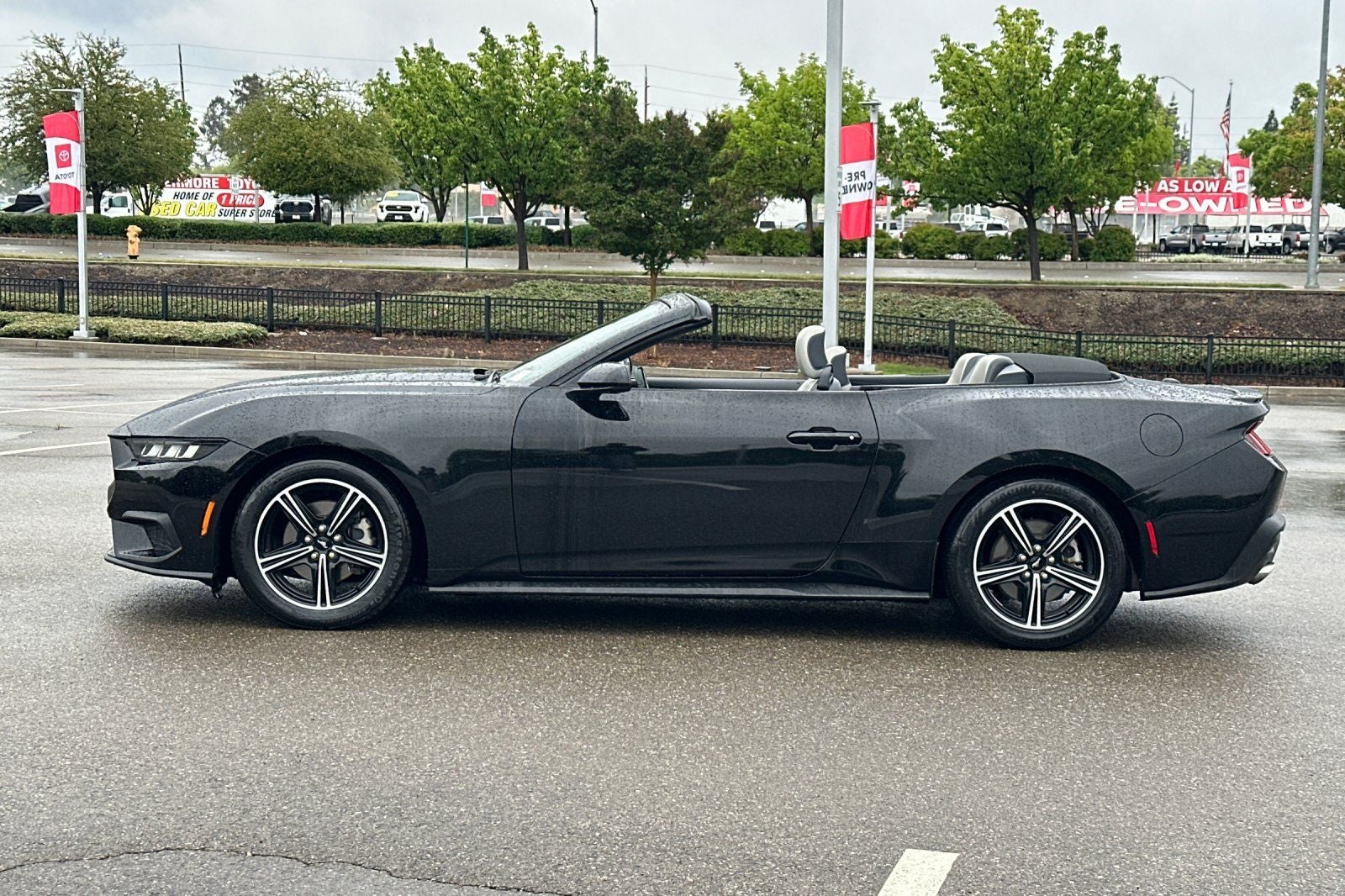 2024 Ford Mustang EcoBoost Premium