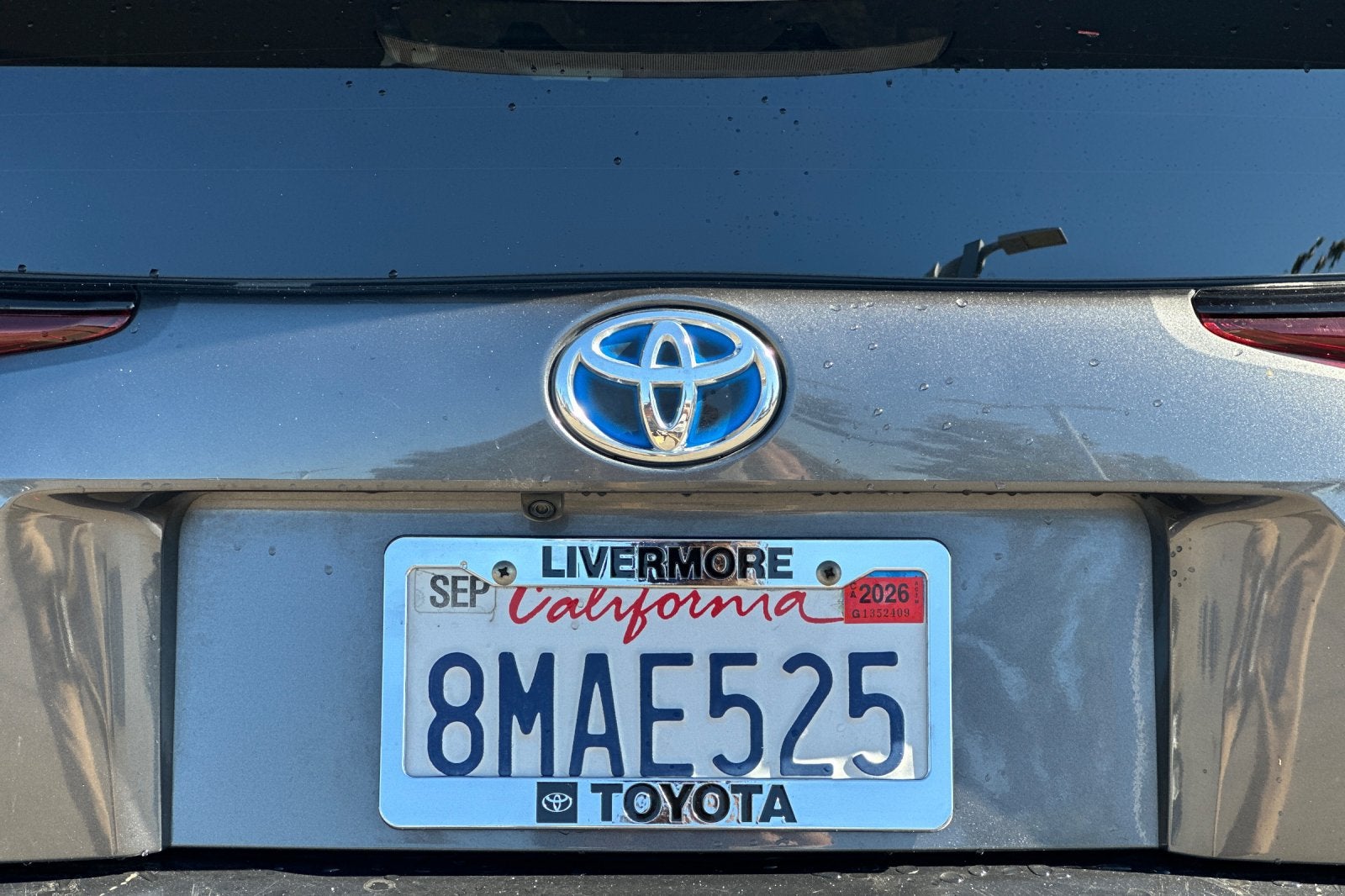 2019 Toyota Prius XLE
