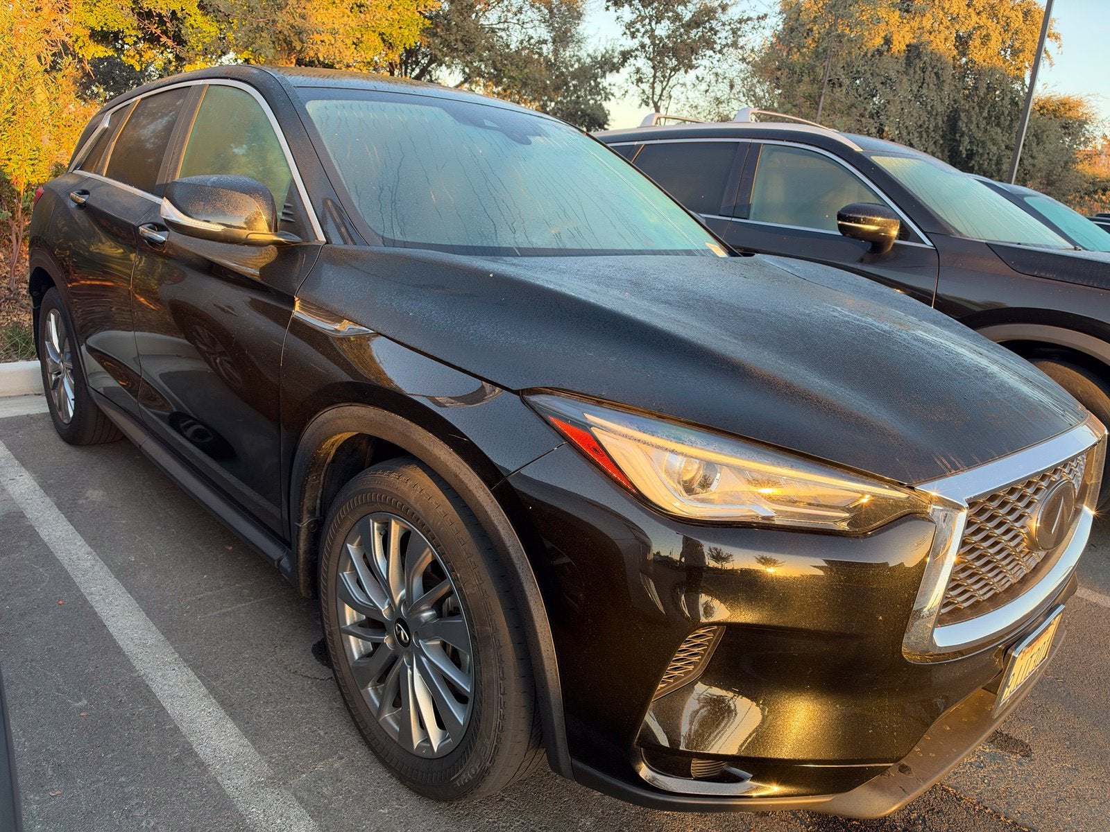2023 INFINITI QX50 PURE AWD