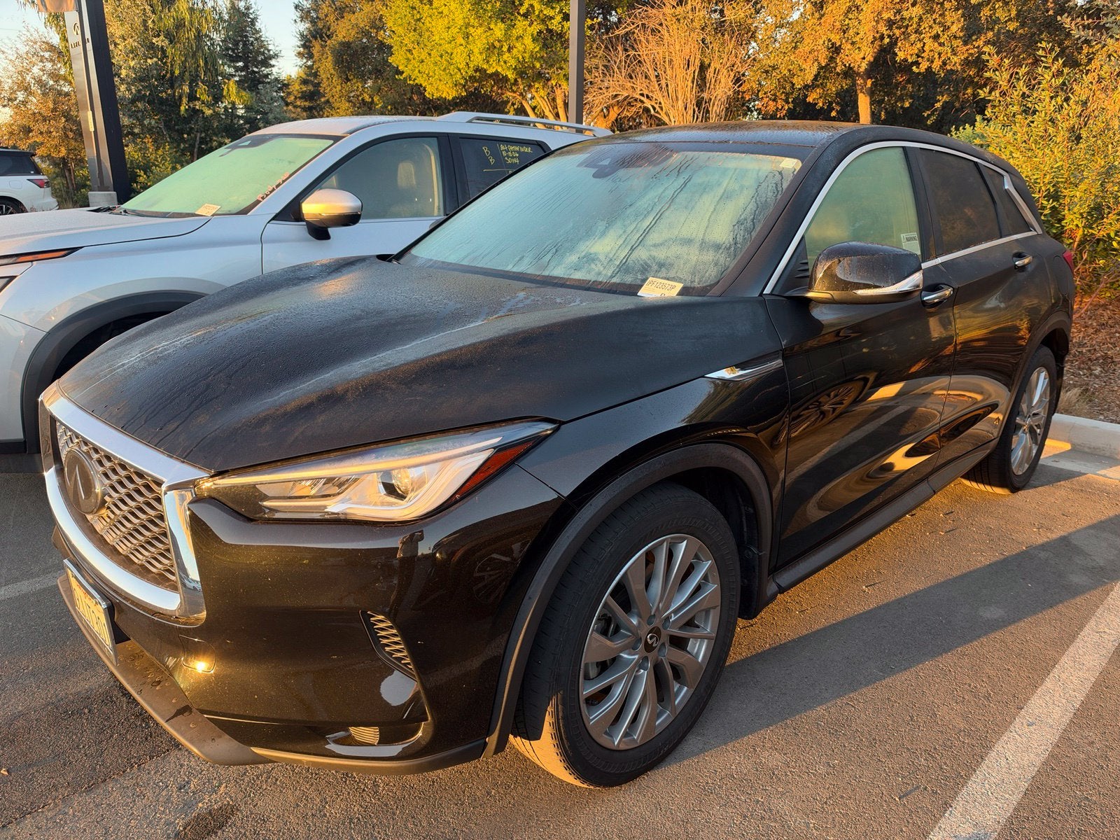 2023 INFINITI QX50 PURE AWD