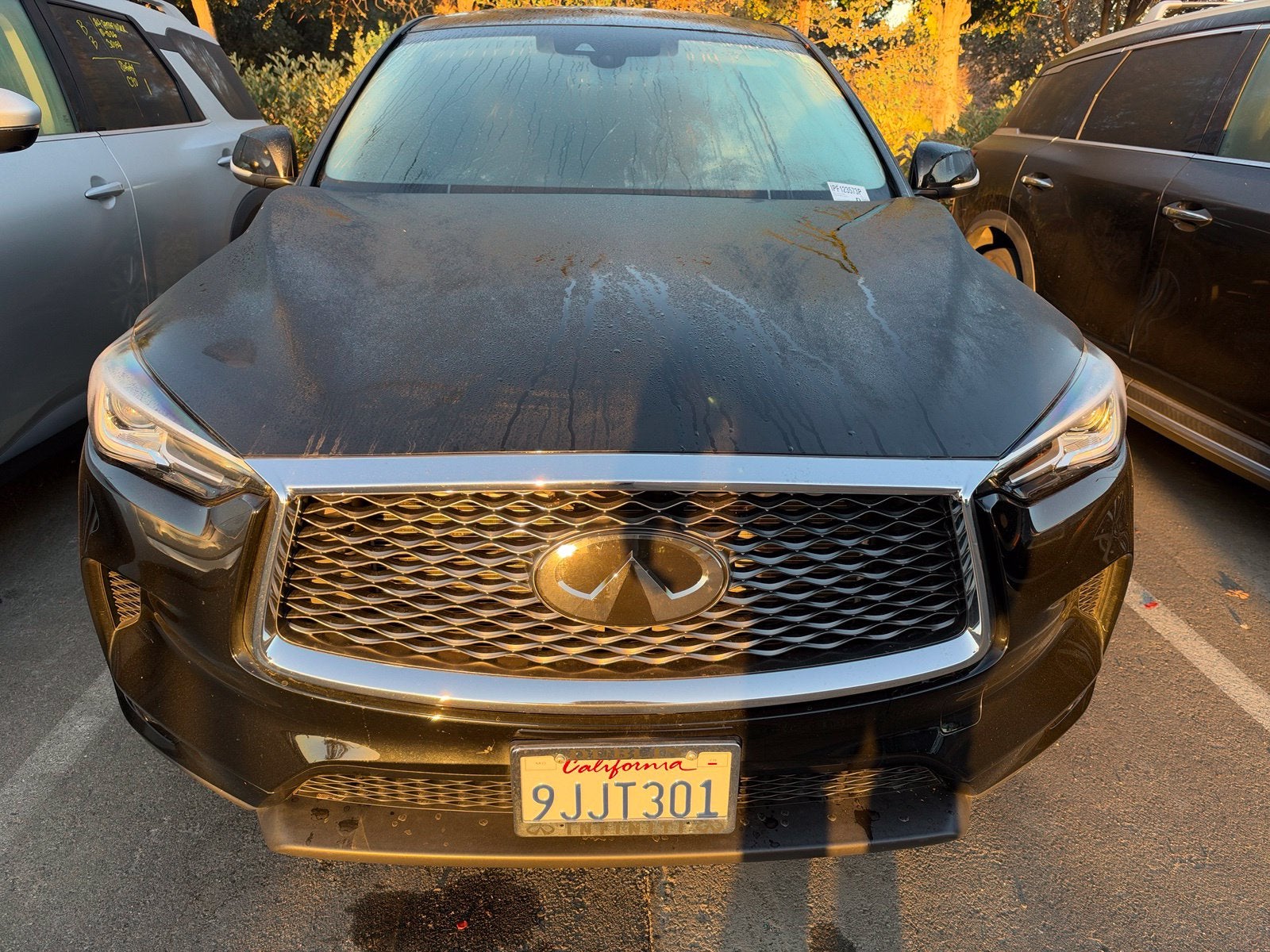 2023 INFINITI QX50 PURE AWD