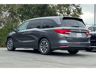 2023 Honda Odyssey EX-L