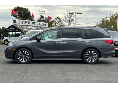 2023 Honda Odyssey EX-L